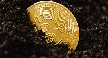 Metaplanet de Japón añade 319 BTC a pesar de los vientos macroeconómicos en contra