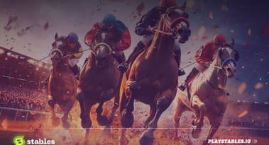 Stables expands to North America, unveils gameplay enhancements