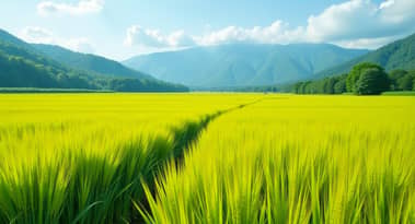 Japan’s rice price crisis escalates as minister resigns amid supply missteps