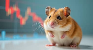 Here’s why Hamster Kombat (HMSTR) coin has crashed