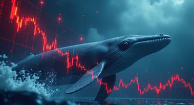 Falcon Finance prisutsikter: hvaler samler over 48 millioner FF-mynter i en 3-dagers shoppingrunde