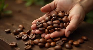 Coffee price analysis: Falling wedge pattern readies market for a breakout