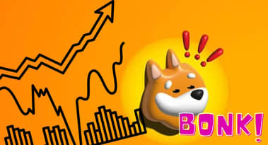 BONK sale dell'8%, guarda ai massimi di dicembre: controlla le previsioni