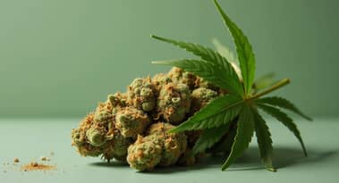 Tilray-aktien bildar ett riskabelt mönster: 8 januari blir avgörande