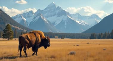 Wyoming state launches its US dollar stablecoin Frontier Stable Token (FRNT)