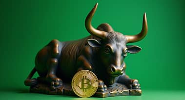 Bitcoin price reclaims $120K, targets new all-time highs; ZEC leads altcoins