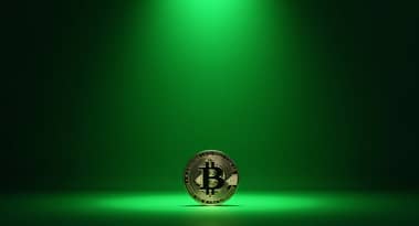 سعر البيتكوين يتصدر 116 ألف دولار بسبب التفاؤل الكلي ، وتقود العملات البديلة VIRTUAL بنسبة 22٪