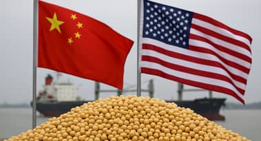 China reanuda las importaciones de soja de EE.UU. a medida que el acuerdo comercial se acerca a la etapa final