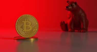 Bitcoin price tests $100k support as FIL, FET, ZEC lead altcoins with double digit gains