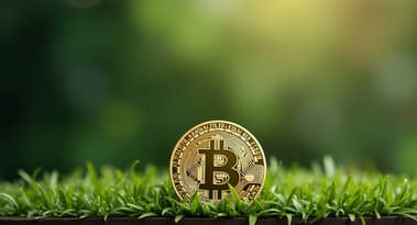 يستعيد سعر البيتكوين 106 ألف دولار مدعوما بمحفزات الماكرو و STRK و WLFI و PUMP Lead altcoins