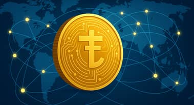 Tokenised money goes borderless as JPMorgan, DBS connect blockchain rails