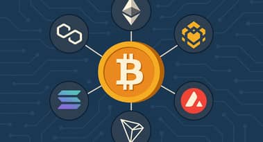 Bybit study shows how major blockchains quietly control your crypto