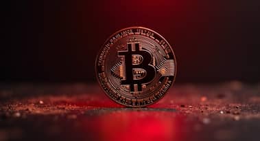 انهيار العملات الرقمية: هل ستتعافى البيتكوين والعملات البديلة في ديسمبر؟