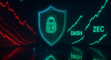 Privacy coins defy crypto crash: Decred, Dash and Zcash lead stunning rally