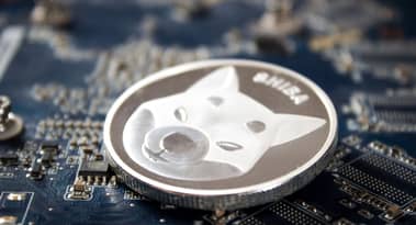 The next big altcoin after Shiba Inu and Cardano? Analysts are betting on Digitap
