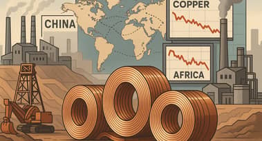 Copper retreats from record high as signs emerge of softer Chinese demand