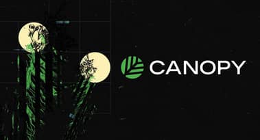 Canopy introduces a 'layerless' approach to building sovereign blockchains