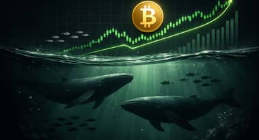 الحيتان تتراكم البيتكوين بينما يحقق البيع بالتجزئة أرباحا تقول سانتيمنت