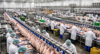 JBS to boost chicken processing capacity in Jeddah through 2026