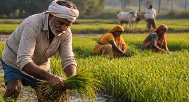 India farmers push ahead with nationwide protests over US trade concessions