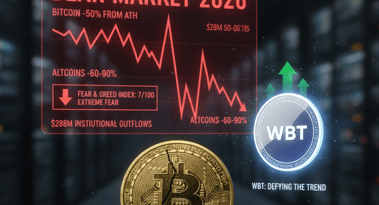 Is 2026 bear market in: why some assets are still showing strength