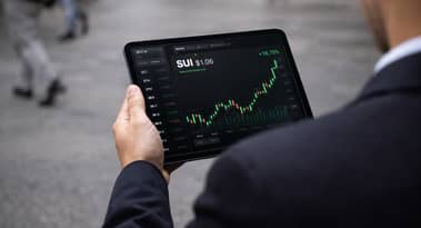 SUI surges 8% on rising whale interest, TVL inflows