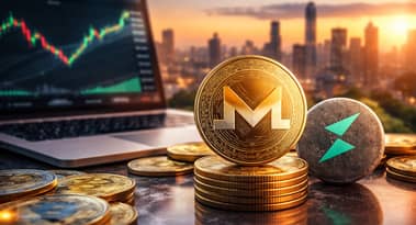 Monero hits $350 as THORChain boost strengthens XMR utility