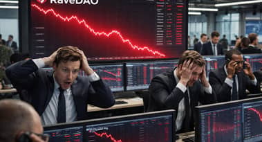 Derfor steg RaveDAO-prisen og styrtede så 95%