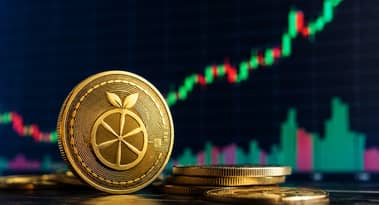 Zest Protocol-Kurs steigt um 128%: Darum gewinnt der Altcoin