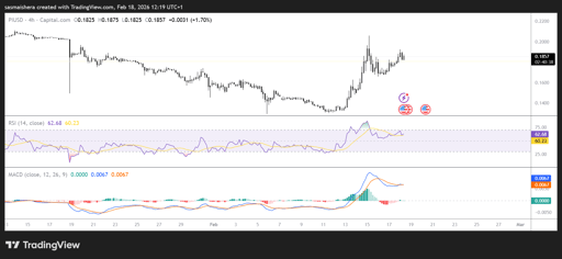 PI/USD 4H Chart