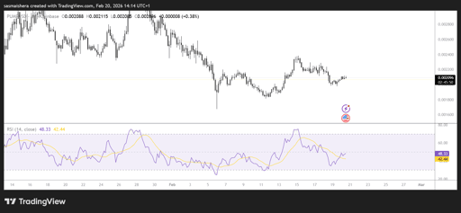 PUMP/USD 4H Chart