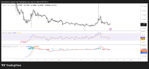 PI/USD 4-uursgrafiek