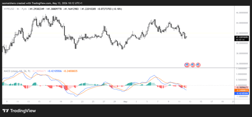 HYPE/USD 4H Chart