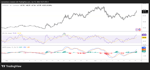 مخطط HYPE/USD (4 ساعات)