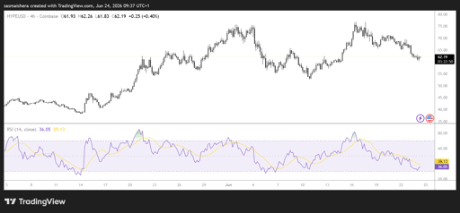 HYPE/USD 4H Chart