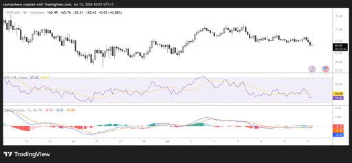HYPE/USD 4H Chart