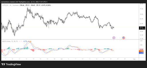 HYPE/USD 4H Chart