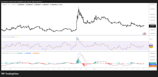 مخطط 4 ساعات لـ SHIB/USD