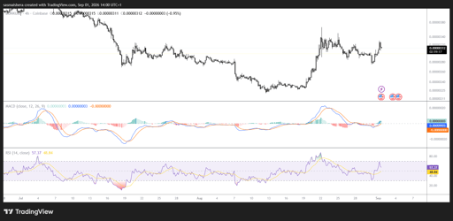 مخطط BONK/USD على 4 ساعات
