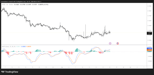 PI/USD 4H Chart
