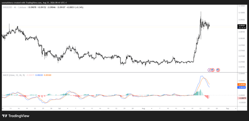DOGE/USD 4H Chart