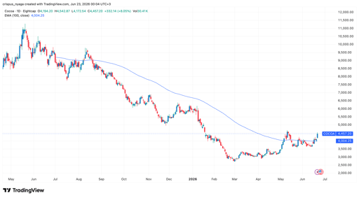 cocoa price