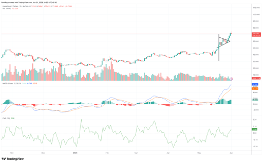 HYPE/USDT - 1-day price chart.