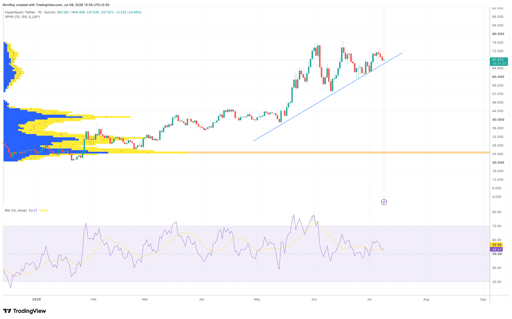 HYPE/USDT 1-daagse prijsgrafiek.