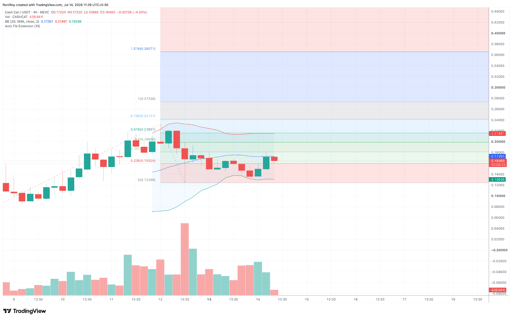 Grafico del prezzo 1 giorno CASHCAT/USDT. Fonte: TradingView.

