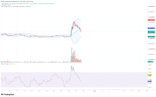 SHIB/USDT 1-dages prisdiagram. Kilde: TradingView.