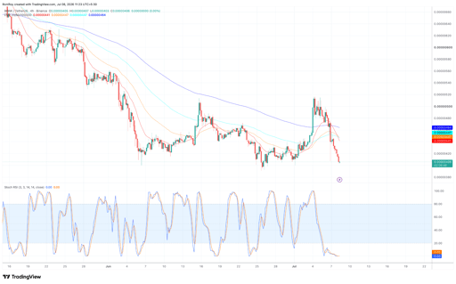 BONK/USDT 4-hour price chart.