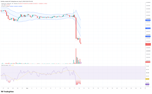 RVN/USDT 4-hour price chart. Source: TradingView.