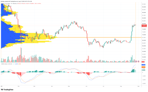 BTC/USD 1-day price chart. Source: TradingView.