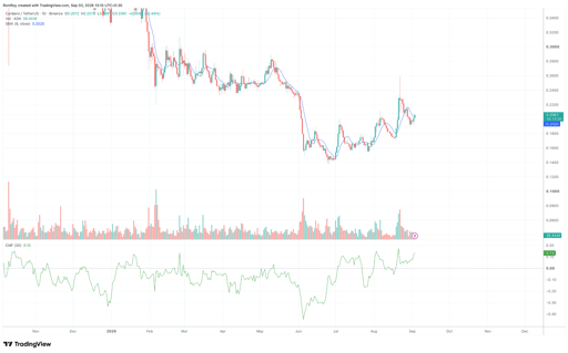 مخطط سعر ADA/USDT اليومي. المصدر: TradingView.
